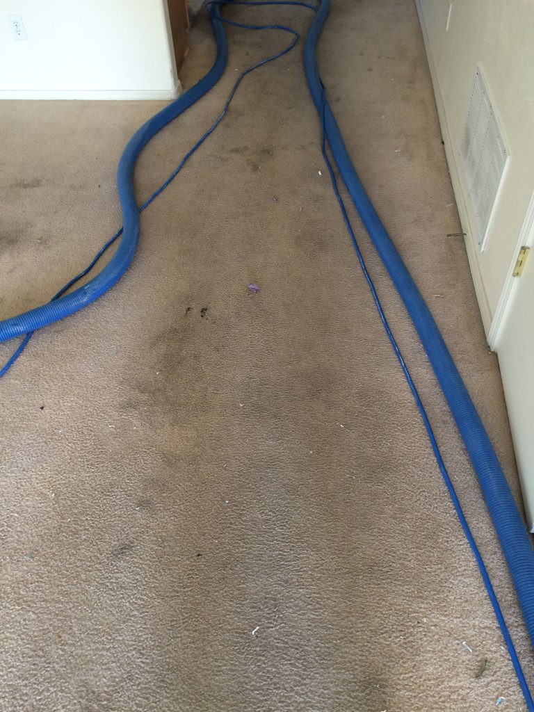 dirty carpet before steam cleaning