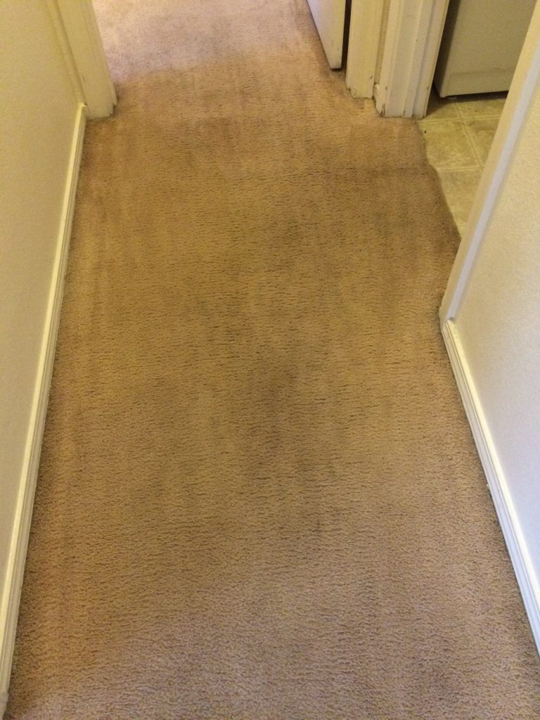 dirty carpet after steam cleaning